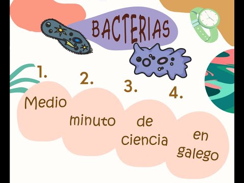 Vídeo: Bacterias