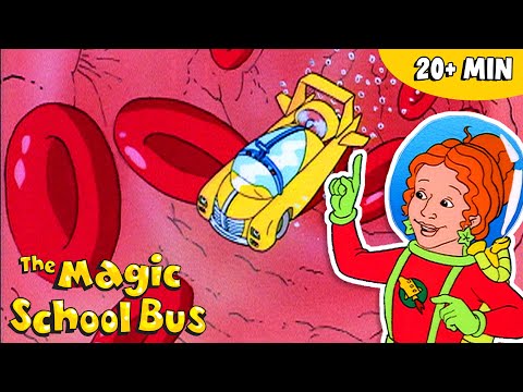 Wonders of the Human Body | Science for Kids | The Magic School Bus