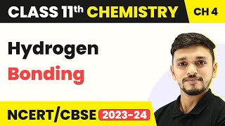 Hydrogen Bonding - Chemical Bonding and Molecular Structure | Class 11 Chemistry