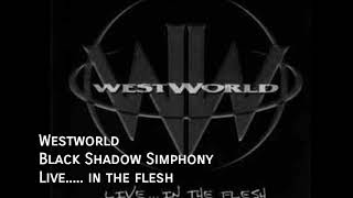 Westworld - Black Shadow Simphony (live)