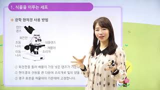 [동아출판] 백점 시리즈 초등 6학년 백점 과학 - 4. 식물의 구조와 기능 _식물을 이루고 있는 세포 / 뿌리의 생김새와 하는 일