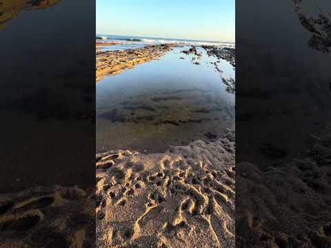 La Paloma Rocha Uruguay #uruguayosporelmundo