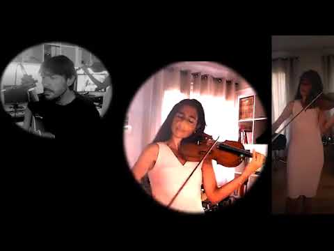 Мікрофон інструментальний Prodipe VL21-C (для скрипки та альта)