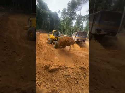 Daniel Masiero cujubim Rondônia