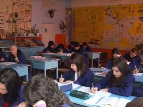 Colegiul National "David Prodan" Cugir