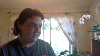 PLANT UPDATE | IS THIS A BUD OR A LEAF?