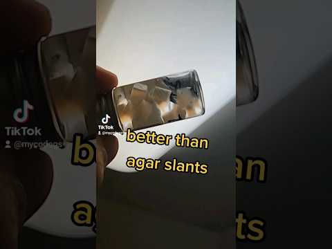 Save genetics for years #mycology #mushroom #agar