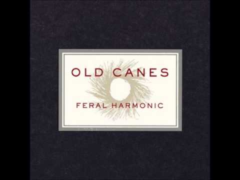 Southern Radio - Old Canes