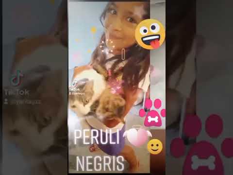 Te extraño mucho mi querida Negris😔.