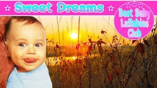 ❤️ Autumn Lullaby | Bedtime Music for Kids | Best Baby Lullabies Club 🍂 Very Beautiful!