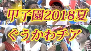 甲子園2018夏ぐうかわチア特集！可愛い子多すぎ！