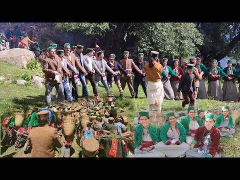 kamroo 💐fulyach video2