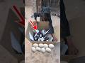 39 New TOP Pigeons 5 Fancy Shirazi ️ 9 Mookee Other Pigeon Update 23 07 2023