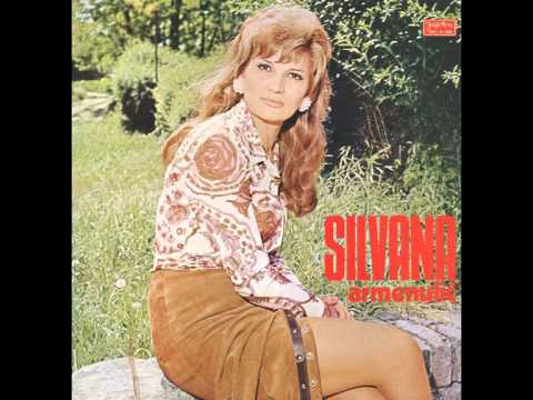 Silvana Armenulic - Daruj mi noc daruj mi tren - (Audio)