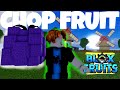 Chop Fruit NOOB TO PRO Level 1 To 700 Blox Fruit