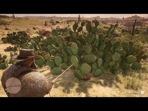 RDR2 - This would be the most painful death for Micah