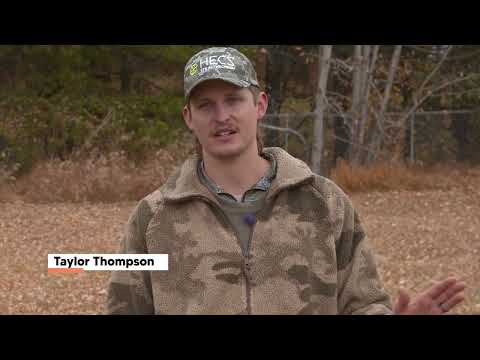 Meet the Hunter - Taylor Thompson