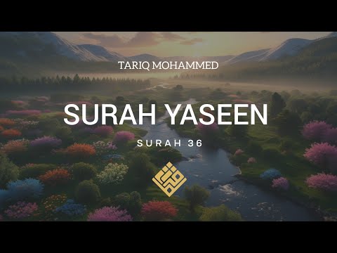 Surah Yaseen | Beautiful Recitation & English Translation for Peace & Reflection