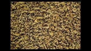 Beyond Control 3 - O Yuki Conjugate