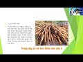 Thành Phần Siro Mordica Gồm Những Gì Mà điều Trị Ho Hiệu Quả