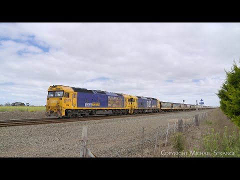 7736V Pacific National Grain Train With G519 & BL27 At Gheringhap (1/11/2024) - PoathTV Railway