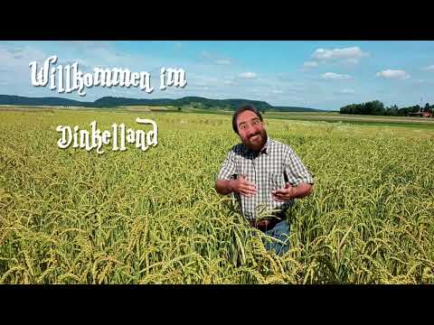 Ar ohne Di feat. TailsGaming (Club Result Mix)