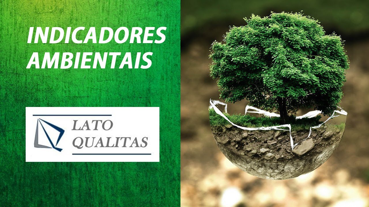 Indicadores Ambientais