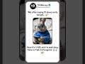 LateNightVibes BunnyMode MemeLife SnackTime TooMuchYouTube SleepIsForTheWeak