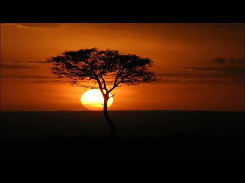 Lizwi & Tabia Feat Saint Evo   Isibani Original Mix