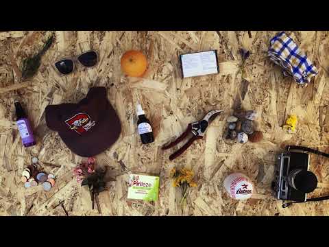 Modern Nature - Harvest (Official Video)