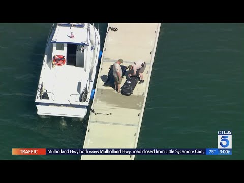 Naya Rivera's cause of death ruled accidental drowning