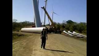 Video 6