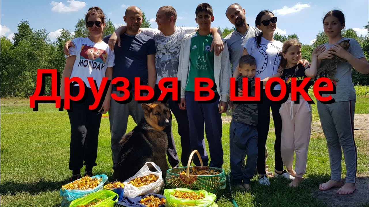 Черничный Хутор Новый Выпуск 2022 Года Черничный Хутор Новый Выпуск 2022 Года
