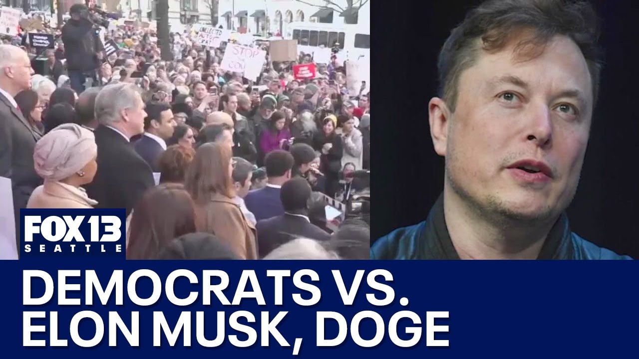 Democrat backlash against Elon Musk and DOGE
