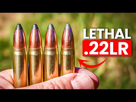Most Dangerous .22 LR Rounds You Can Buy in 2025
