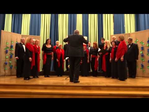 2014 11 15 Voda in vino MePZ Orfej Martinov koncert 018 1 Mlatiči