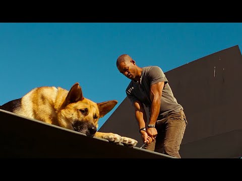 My name is Robert Neville | I Am Legend (Director's Cut)
