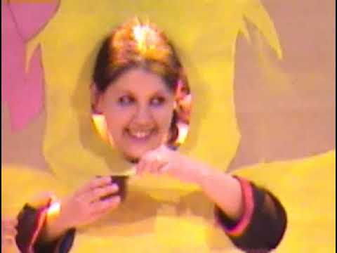 Conneko 2004 - Chocobo (Video by animate.at)