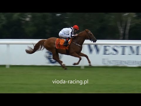 Gon. II (N. Ofira) - 12.07.2020 - Salam Al Khalediah (Nashwan Al Khalidiah - Quesche du Paon)