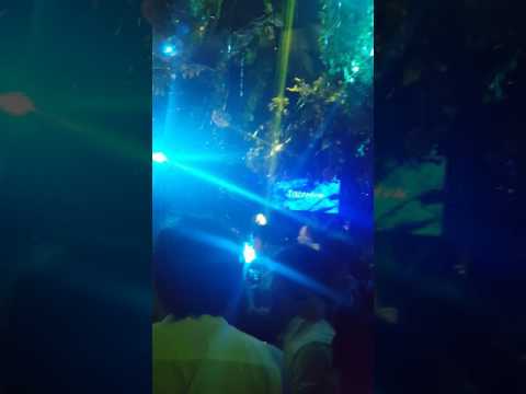 Solomun @ Heart Miami Jan 6 2017 unreleased track