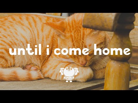 Two Feet & grandson - Until I Come Home (lyrics)