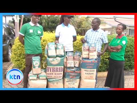 Samburu County launch seed distribution program to boost production