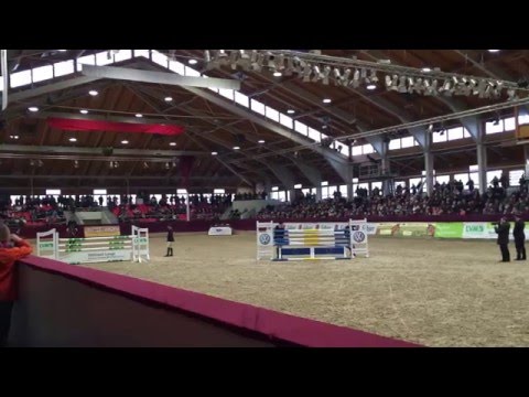 Askari unter dem Sattel 2016