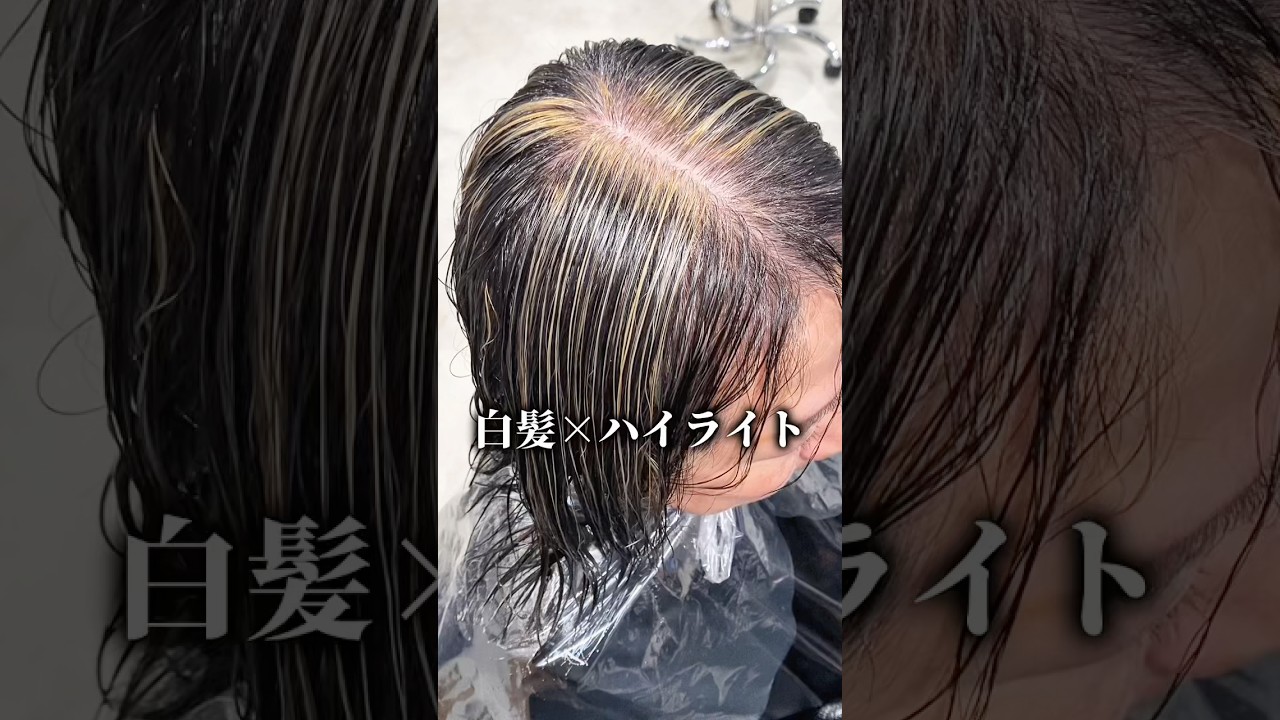 【白髪ぼかしハイライト】白髪が増えたらこんな感じも良いかも…？