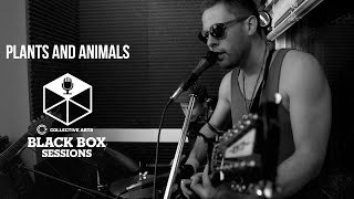 Plants and Animals - "Flowers"