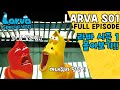 [HOT CLIP] Larva Season 1 FULL VOD I Special Episodes I 라바 시즌 1 에피소드 모음집 I TUBAn Friends Cartoon