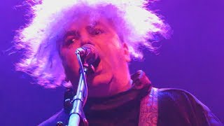 MELVINS - CIVILIZED WORM