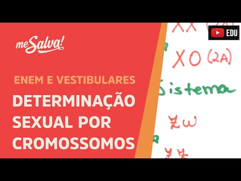 Me Salva! GEN18 - Genética - Determinação sexual por cromossomos - Sistema XY, X0 e ZW