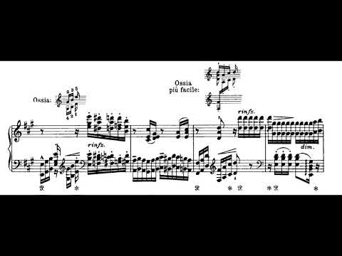 Mozart/Liszt: Réminiscences de Don Juan S. 418 (Hamelin)