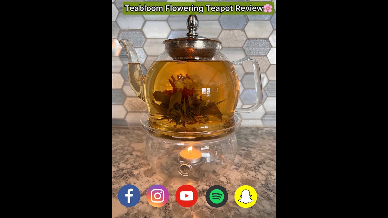 Teabloom Stovetop & Microwave Safe Glass Teapot Review: Insulated Double Walled Cups & Teapot
